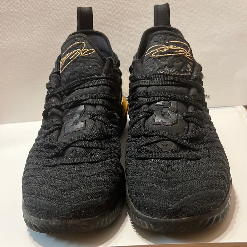 Nike Le Bron James. I’m King(2018) Street Style Rubber Sole Fabric Upper